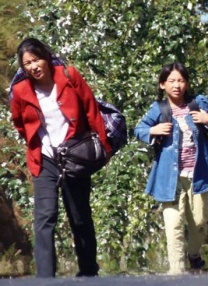 伊人网视频在线观看
